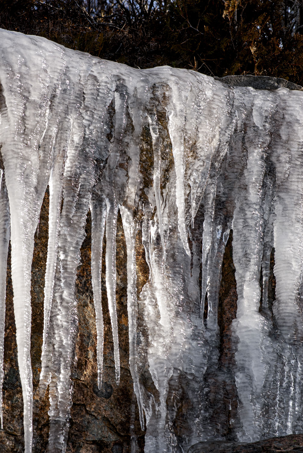 Icicles on a water cascade in New Hampshire