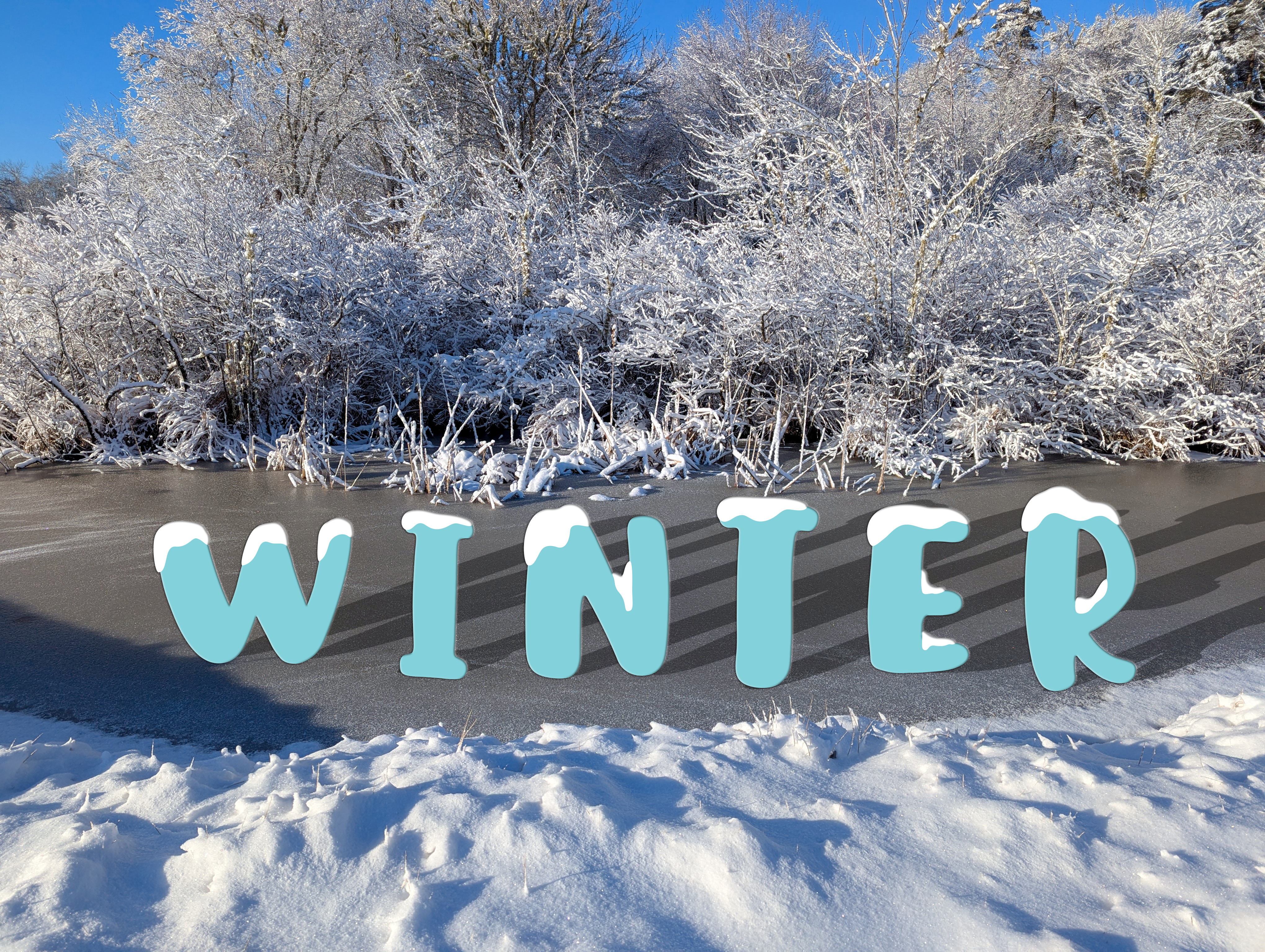 Winter cover photo
