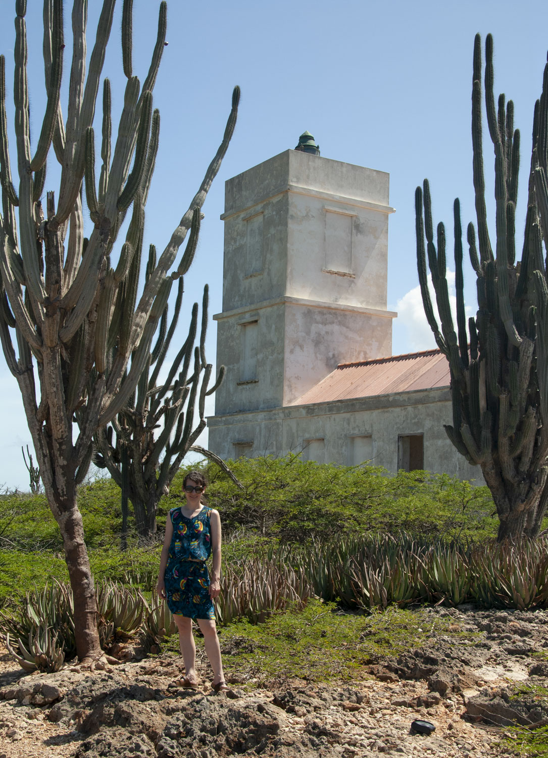 Anne looking very small next to very tall cacti, wiht a white building in the distance